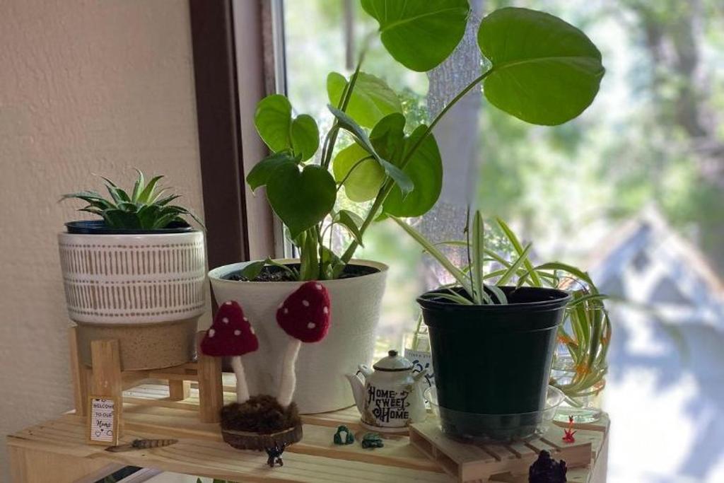 DIY Plant Stand Hack Crates