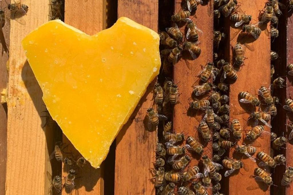 Beeswax Benefits Houseplant Hack