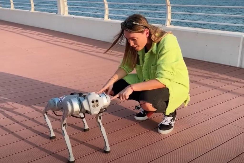 AI Robot Pets Moflin