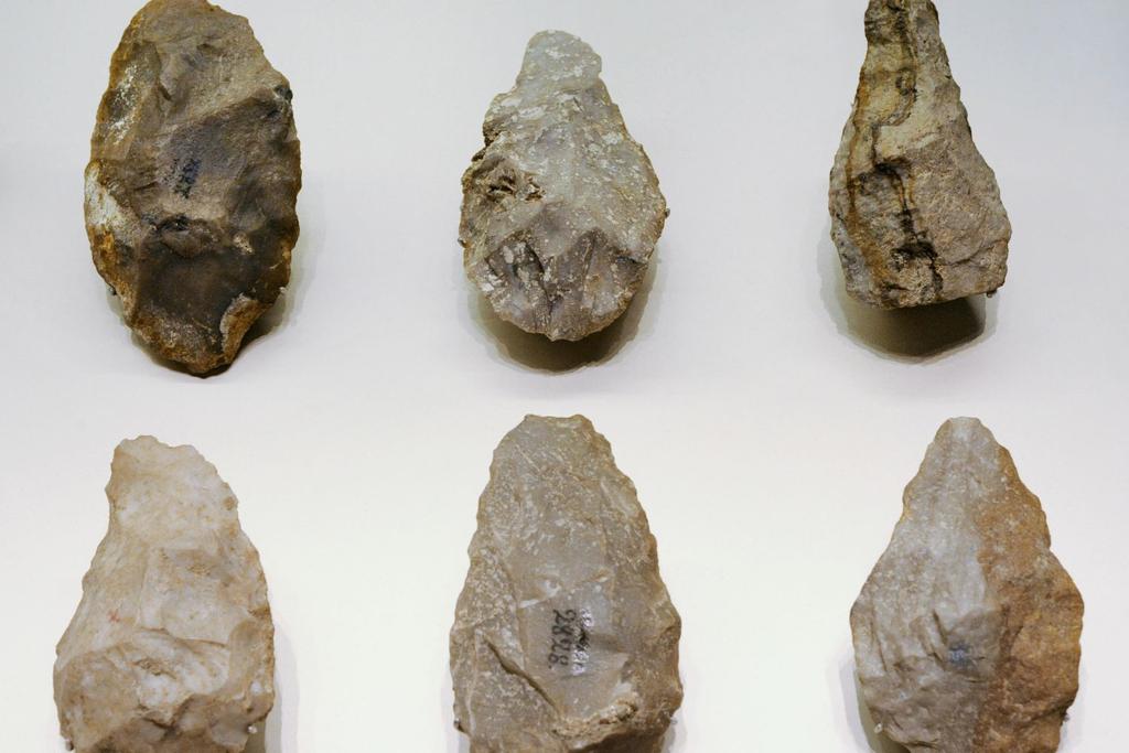 Paranthropus prehistoric tools discovery