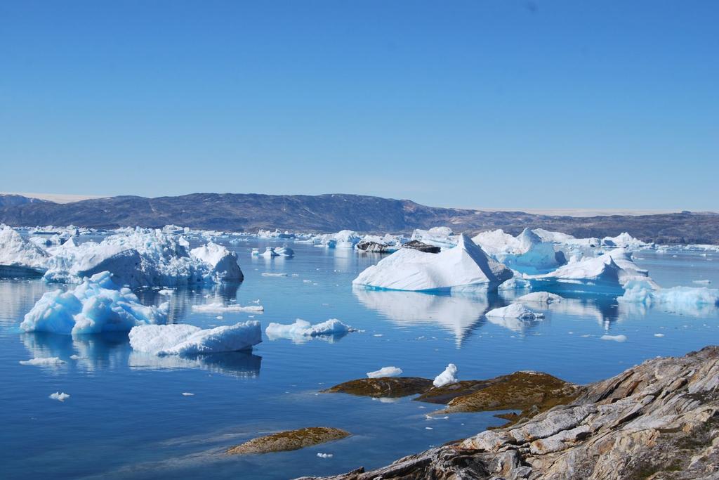 Artic Sea global warming