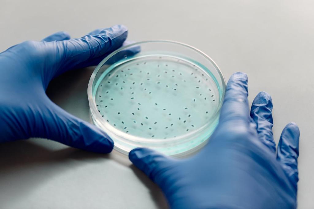 bacteria water disease research
