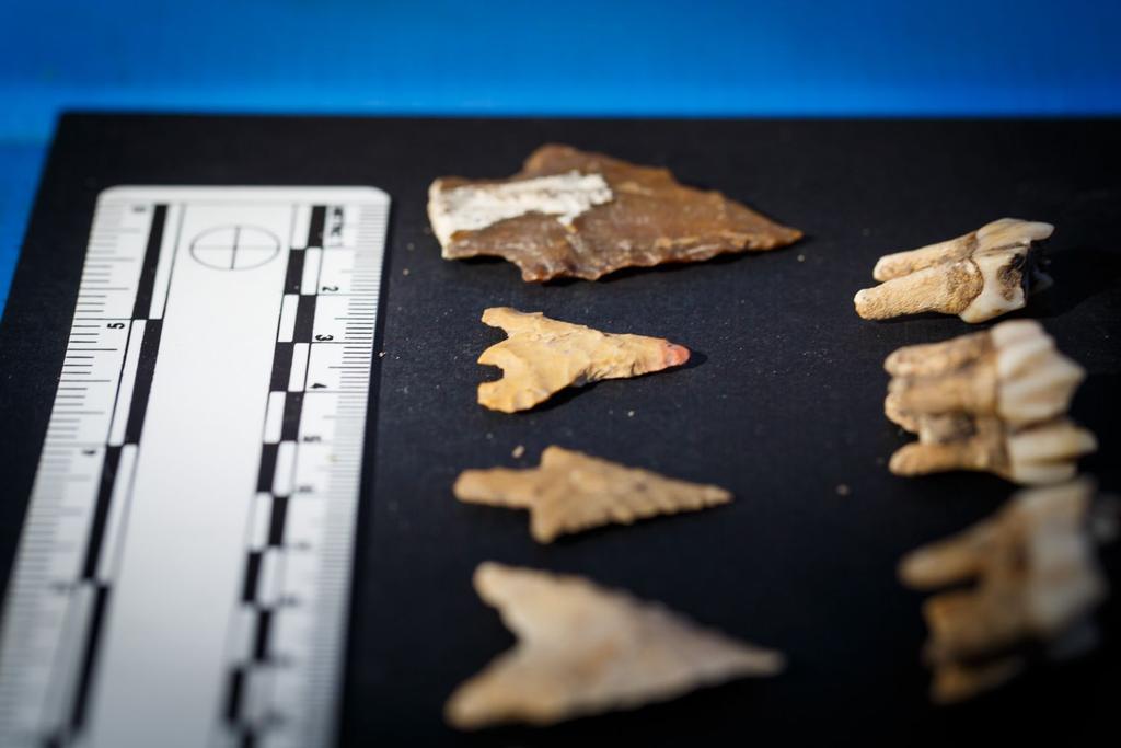 Bronze Age arrowhead archaeology